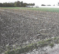 Kmetijska zemljišča št. 1, Turnišče, 9224 Turnišče
