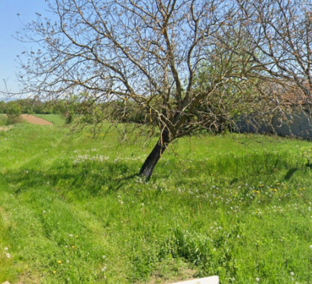 Kmetijsko gozdno zemljišče - v deležu 2/5, Požeški Brđani, 34322 Brestovac