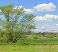 Kmetijsko zemljišče št. 1, Koseze, 6250 Ilirska Bistrica
