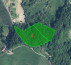 Gozd, Ciringa, 2201 Zgornja Kungota