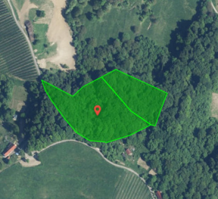 Gozd, Ciringa, 2201 Zgornja Kungota