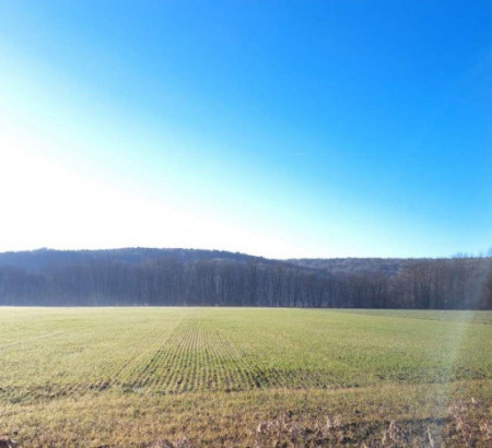 Kmetijska zemljišča, gozdovi, Adrijanci, 9203 Petrovci - možen posamičen nakup (cene od 8,61 € do 21.184,08 €)