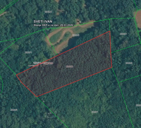 Gozd št. 3, Gambetići, 52463 Višnjan