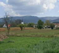Kmetijsko zemljišče št. 2, Orehovica, 8310 Šentjernej