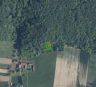 Gozd št. 4, Adrijanci, 9203 Petrovci