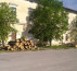 Hlodovina listavcev