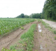 Kmetijsko zemljišče št. 1, Satahovci, 9000 Murska Sobota