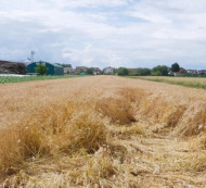 Kmetijsko zemljišče št. 5, Satahovci, 9000 Murska Sobota