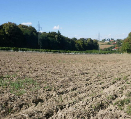 Kmetijsko zemljišče, Mekotnjak, 9240 Ljutomer