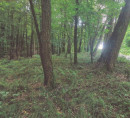 Gozd, Mekotnjak, 9240 Ljutomer