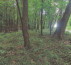 Gozd, Mekotnjak, 9240 Ljutomer