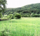 Stavbno zemljišče, kmetijsko zemljišče - v deležu ½, Streliška cesta, 2000 Maribor