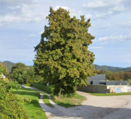 Stavbno zemljišče, kmetijsko zemljišče, Jakhljeva ulica, 1260 Ljubljana - Polje