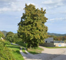 Stavbno zemljišče, kmetijsko zemljišče, Jakhljeva ulica, 1260 Ljubljana - Polje