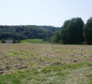 Kmetijsko zemljišče, Terbegovci, 9244 Sveti Jurij ob Ščavnici