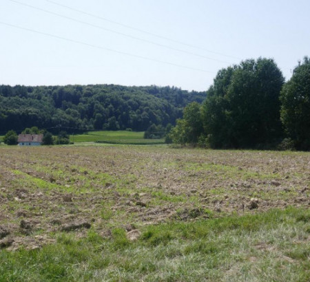 Kmetijsko zemljišče, Terbegovci, 9244 Sveti Jurij ob Ščavnici
