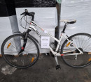 Žensko gorsko kolo Wheeler Cross 6.2