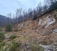 Stavbno zemljišče, gozd, Ravno Brdo, 1000 Ljubljana