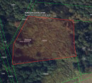 Gozd št. 1, Sirova Katalena, 48350 Đurđevac