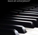 Zaloge: Knjige Korepetiranje, avtor: Zoltan Peter