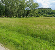 Kmetijsko gozdno zemljišče, Roč, 52425 Roč