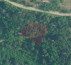 Gozd št. 6, Roč, 52425 Roč