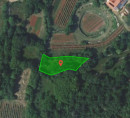 Kmetijsko zemljišče št. 1, Veliki Dol, 6221 Dutovlje