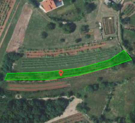 Kmetijsko zemljišče št. 2, Veliki Dol, 6221 Dutovlje