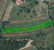 Kmetijsko zemljišče št. 2, Veliki Dol, 6221 Dutovlje