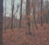 Gozd, Kuršinci, 9243 Mala Nedelja