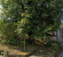 Stavbno zemljišče, Čehovini, 6222 Štanjel
