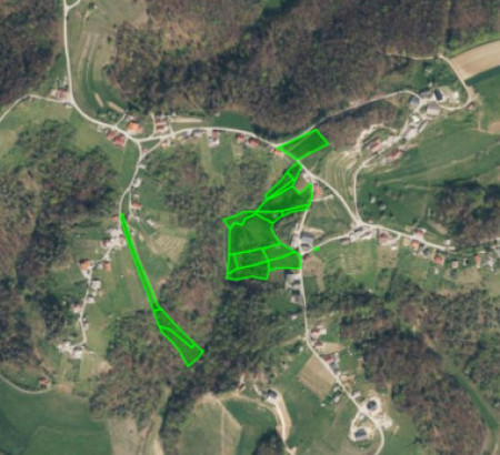 Kmetijska zemljišča, gozdovi, Trščina, 8295 Tržišče