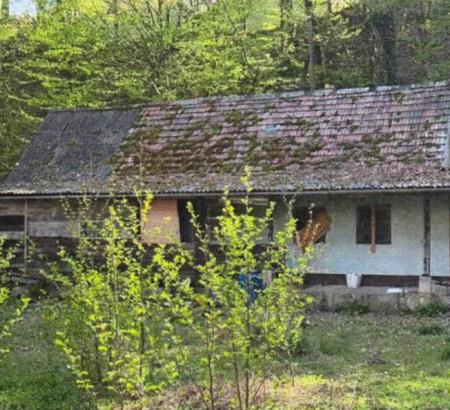 Hiša - v deležu 205/224, Liebknechtova ulica, 2000 Maribor
