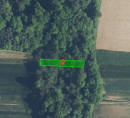 Gozd št. 1, Šalovci, 9204 Šalovci