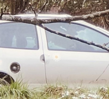 Renault Twingo 1.2, letnik 1. reg. 1999