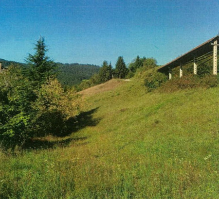 Kmetijsko zemljišče št. 6, Sv. Lenart, 4227 Selca