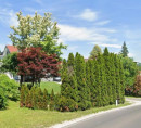 Stavbno zemljišče, Kanižarica, 8340 Črnomelj